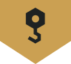 crane flag